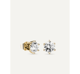 Pendientes Garra Con Circonita Excellence Star Cut